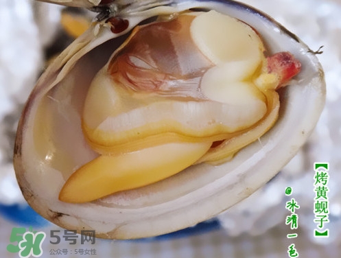 蜆子什么樣的是活的？蜆子開口是死還是活