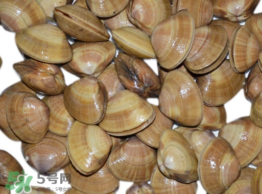 蜆子是花甲嗎？蜆子是海鮮嗎？