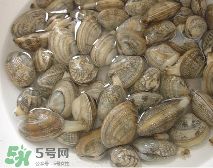 蜆子死了還能吃嗎？蜆子死了多久不能吃