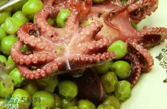 八爪魚多少錢一斤？章魚多少錢一斤