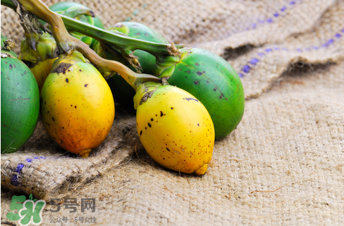 檳榔什么味道？正宗的檳榔是什么味道？