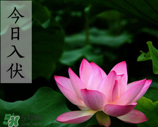 2017年頭伏是幾月幾號？2017年入伏第一天是幾月幾號？