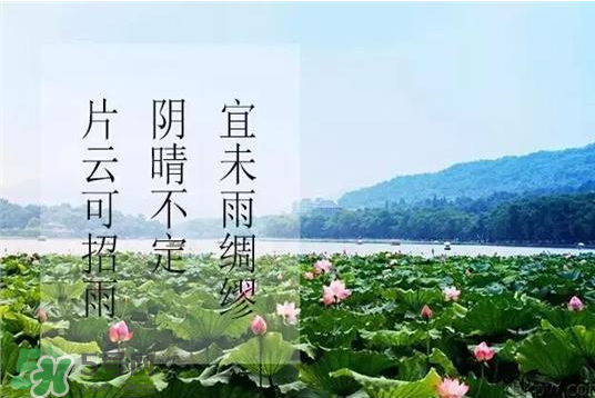 2017年幾月幾號(hào)入伏？入伏是幾月幾號(hào)2017？