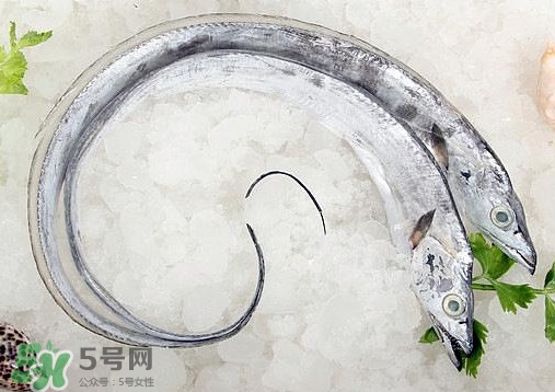 帶魚是深海魚嗎？帶魚是海鮮嗎