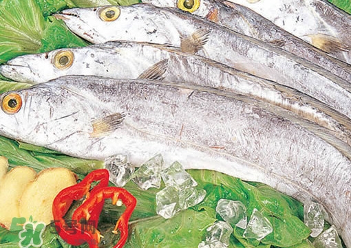 帶魚是咸的嗎？帶魚是無鱗魚嗎