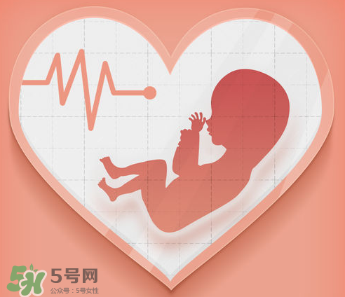 胎心儀可以天天用嗎？胎心儀的使用頻率