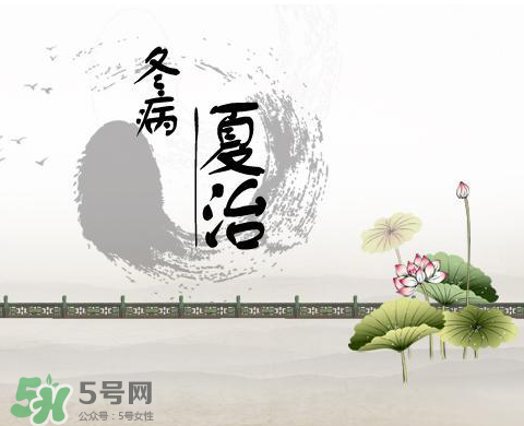 2017年三伏貼什么時候貼？2017年三伏貼貼幾天？