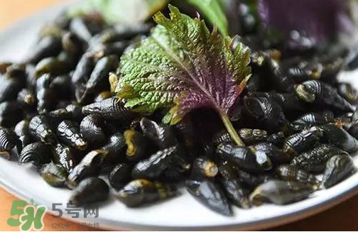 紫蘇是什么植物？紫蘇是發(fā)物嗎？