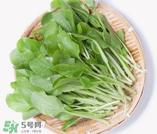 雞毛菜有什么營養(yǎng)價值？雞毛菜的功效與作用