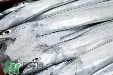 帶魚是深海魚嗎？帶魚是海鮮嗎