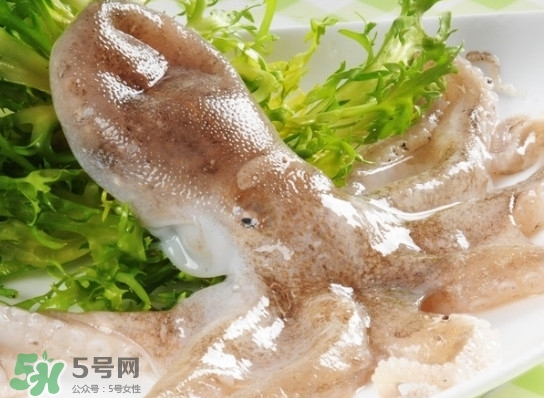 八帶魚(yú)怎么洗？八爪魚(yú)怎么處理干凈