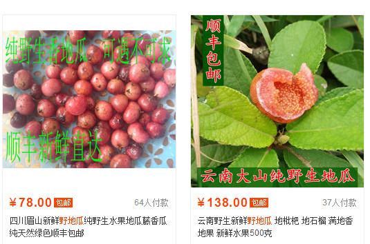 野地瓜哪里可以買到？哪個(gè)地方有種植野地瓜的