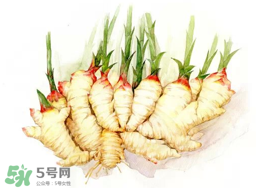 7月份可以種生姜嗎？生姜幾月份種植？