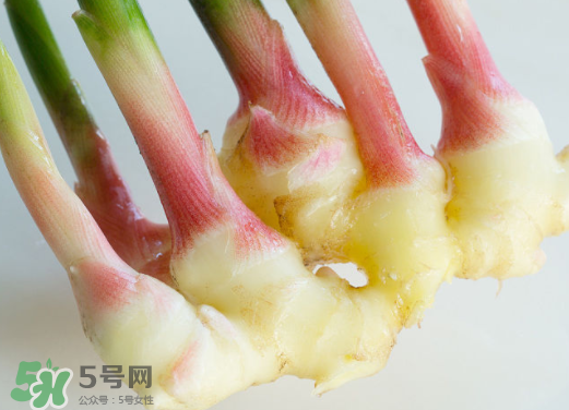 7月份可以種生姜嗎？生姜幾月份種植？