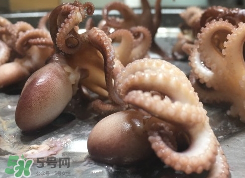 八爪魚怎么做好吃？八爪魚怎么保存