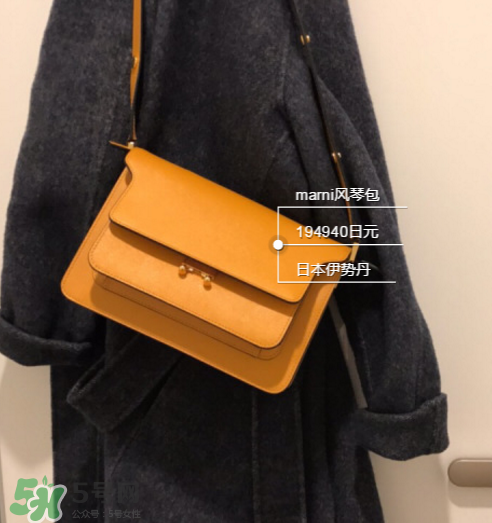 marni風(fēng)琴包尺寸多大？marni風(fēng)琴包尺寸有幾種？