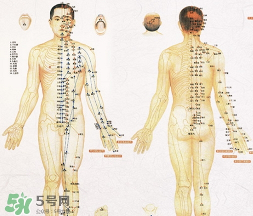 貼三伏貼可以吃西瓜嗎？貼三伏貼吃西瓜有什么害處