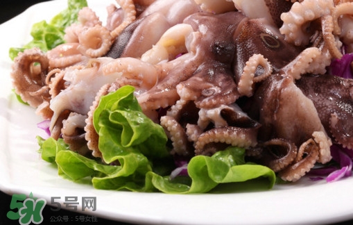 八爪魚是魷魚嗎？八爪魚是章魚嗎