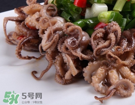 八爪魚怎么做好吃？八爪魚怎么保存