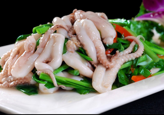 八爪魚是魷魚嗎？八爪魚是章魚嗎