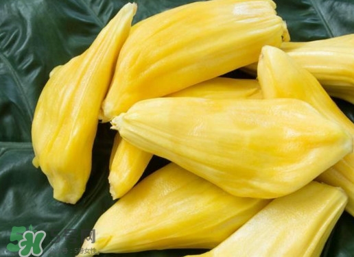 木菠蘿買來怎么吃？木菠蘿吃多了會怎樣？