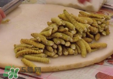 豆丹做菜前怎么處理干凈？豆丹怎么養(yǎng)殖