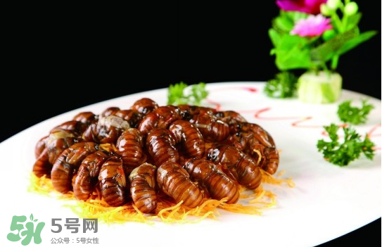知了猴孕婦可以吃嗎？孕婦能吃知了猴嗎？