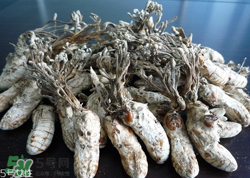 金蟬花多少錢一斤？2017金蟬花價格