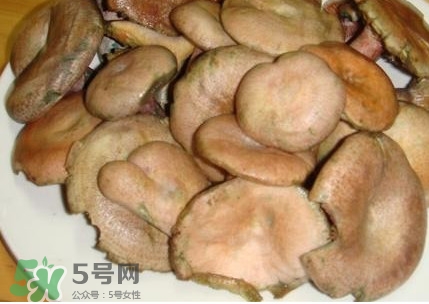樅樹菌孕婦可以吃嗎？孕婦能吃樅樹菌嗎