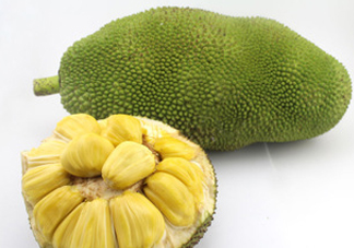 木菠蘿買來怎么吃？木菠蘿吃多了會(huì)怎樣？