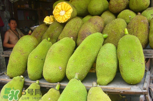 木菠蘿買來怎么吃？木菠蘿吃多了會怎樣？