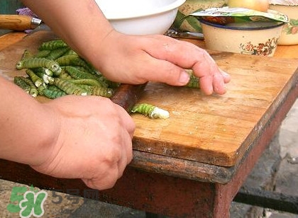 豆丹做菜前怎么處理干凈？豆丹怎么養(yǎng)殖