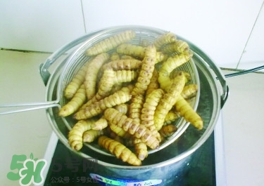 豆丹做菜前怎么處理干凈？豆丹怎么養(yǎng)殖