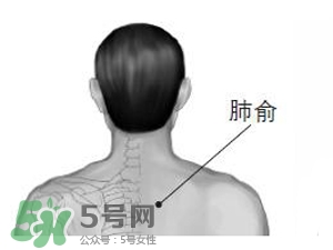 三伏貼能治過敏性鼻炎嗎？三伏貼治過敏性鼻炎貼哪里？