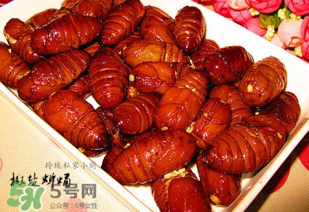 蟬蛹可以保存多長時(shí)間？蟬蛹冰凍起來能保存多久