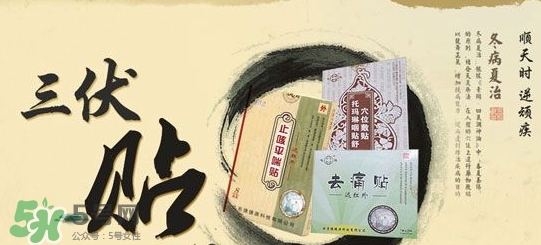 貼三伏貼掛什么科？三伏貼掛什么號？