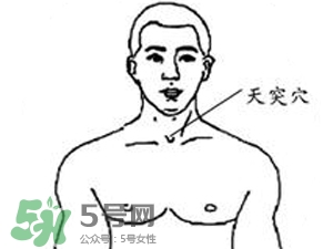 三伏貼能治過敏性鼻炎嗎？三伏貼治過敏性鼻炎貼哪里？