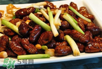 孕婦可以吃蟬蛹嗎？懷孕吃蟬蛹有沒有副作用