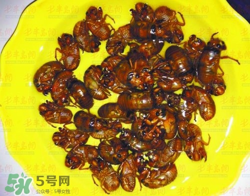 知了猴能淹死嗎？知了猴哪個部位不能吃？