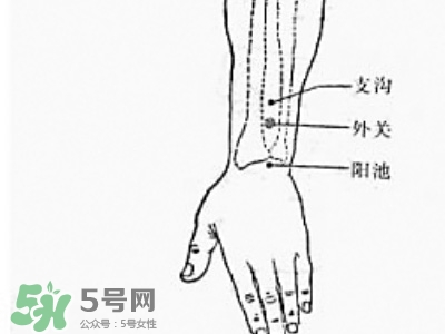 三伏貼能治過敏性鼻炎嗎？三伏貼治過敏性鼻炎貼哪里？