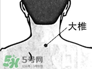 三伏貼能治過敏性鼻炎嗎？三伏貼治過敏性鼻炎貼哪里？