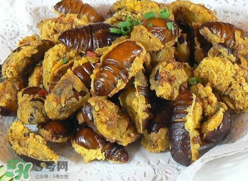 水煮蟬蛹怎么做？蟬蛹煮多久可以熟？