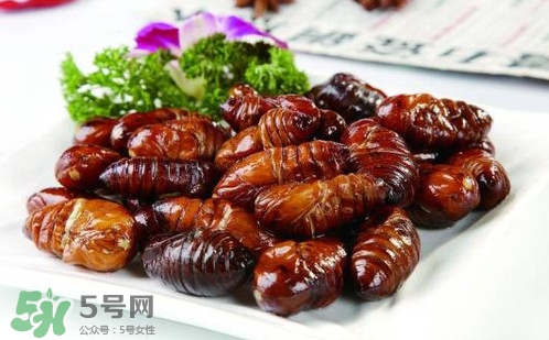 蟬蛹里面黑色的能吃嗎？蟬蛹是怎么形成的