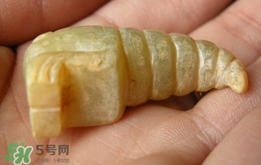 蟬蛹能吃嗎？蟬蛹怎么做好吃