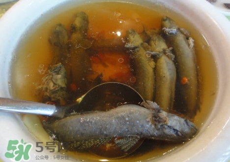 跳跳魚多少錢一斤？跳跳魚是淡水魚嗎？