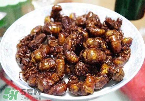蟬蛹什么人不能吃？蟬蛹不能和什么一起吃