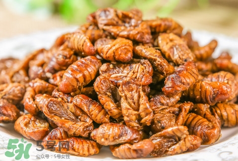 孕婦可以吃蟬蛹嗎？懷孕吃蟬蛹有沒有副作用