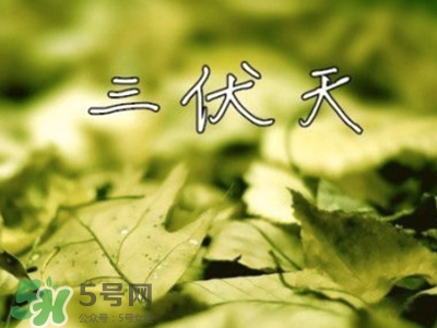 三伏天怎么坐月子？三伏天坐月子要注意什么？