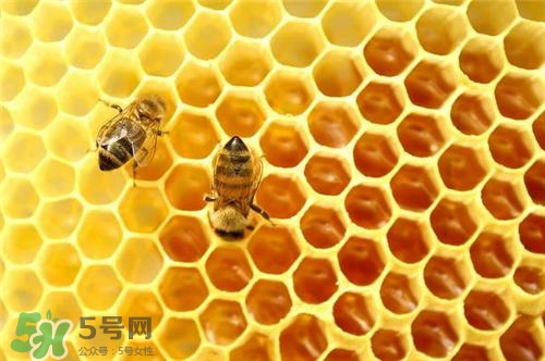三伏貼能治過敏性鼻炎嗎？三伏貼治過敏性鼻炎貼哪里？