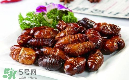 蟬蛹什么人不能吃？蟬蛹不能和什么一起吃